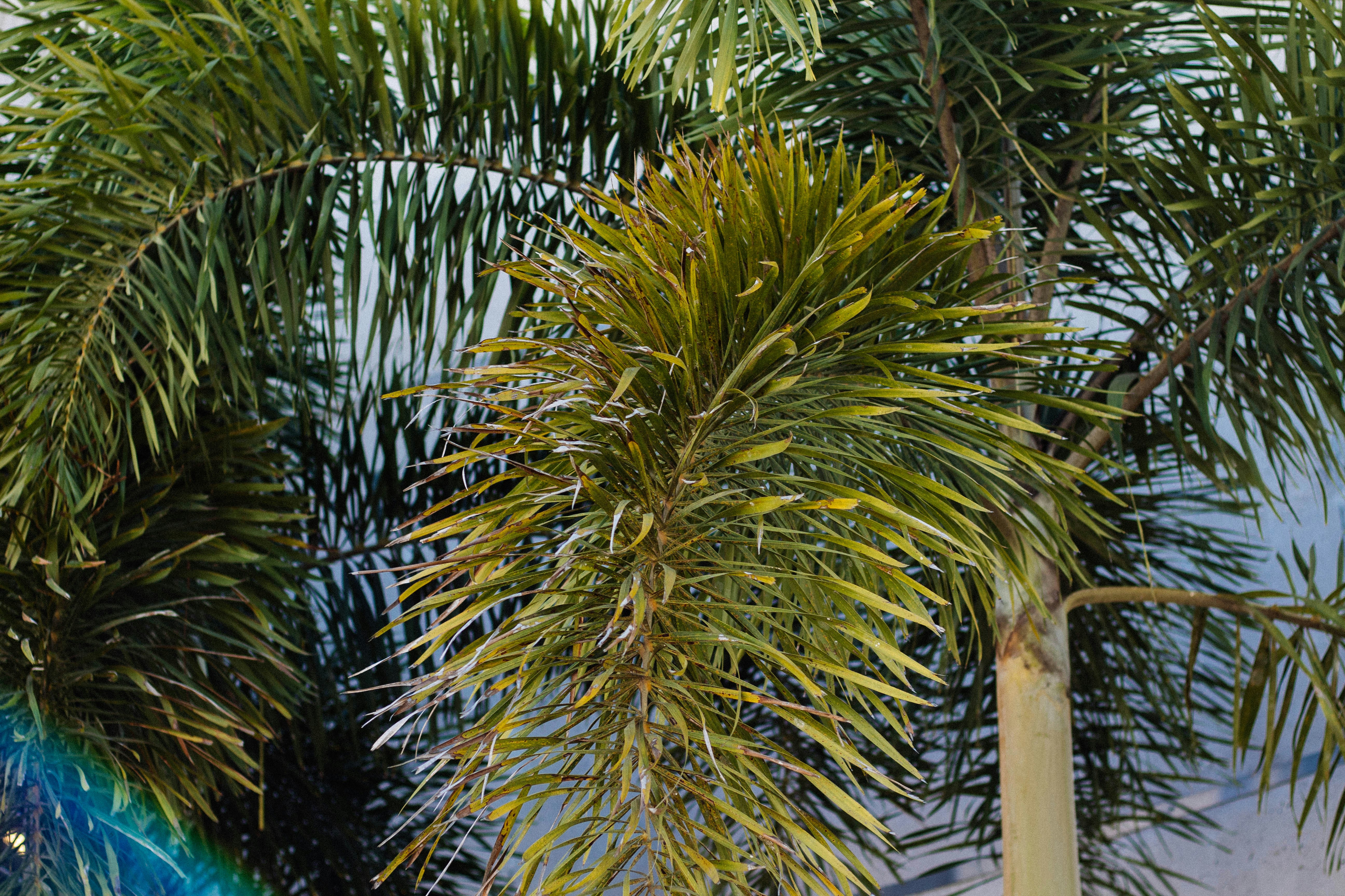 Photo by alexgallegos