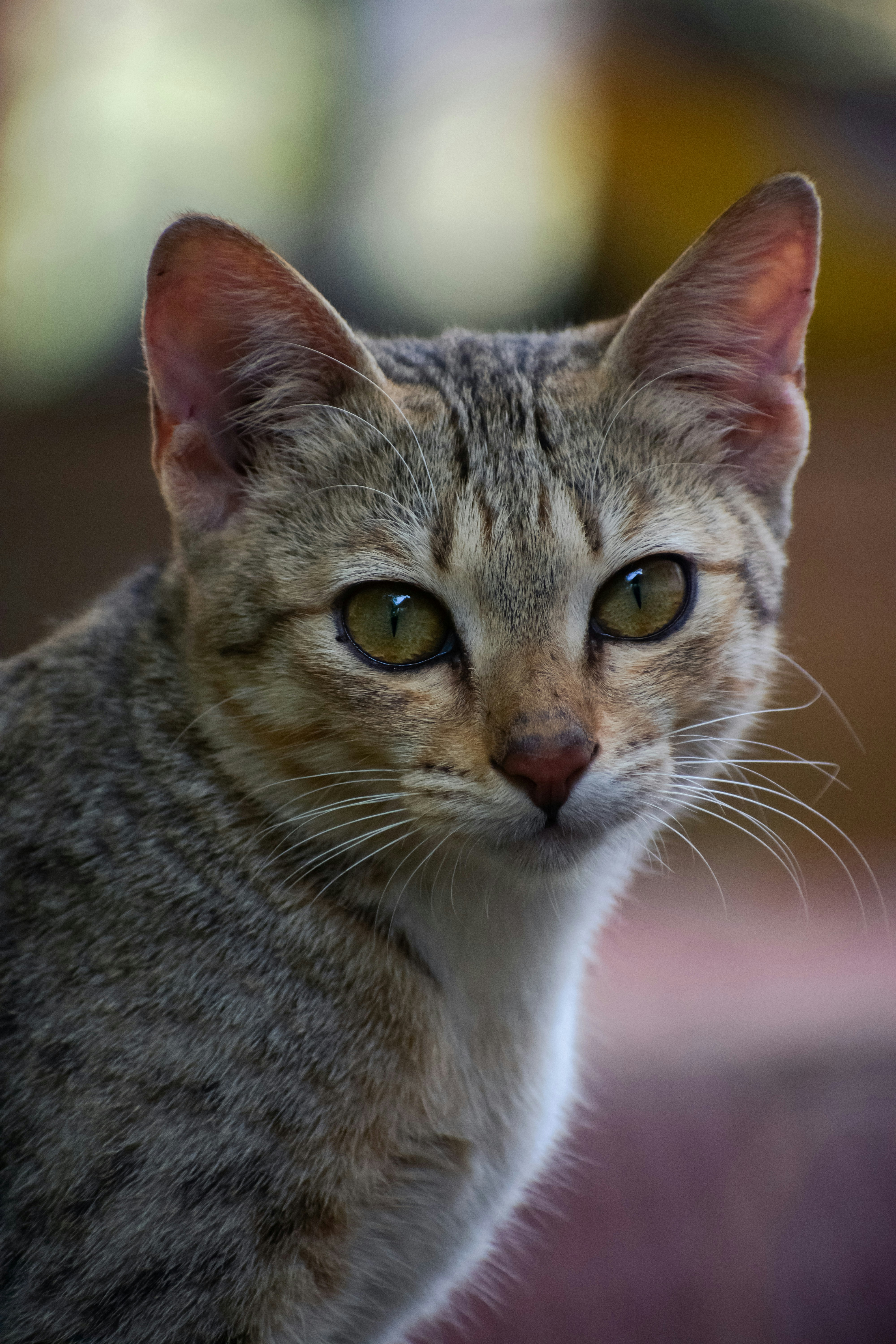 Photo by martinphotography