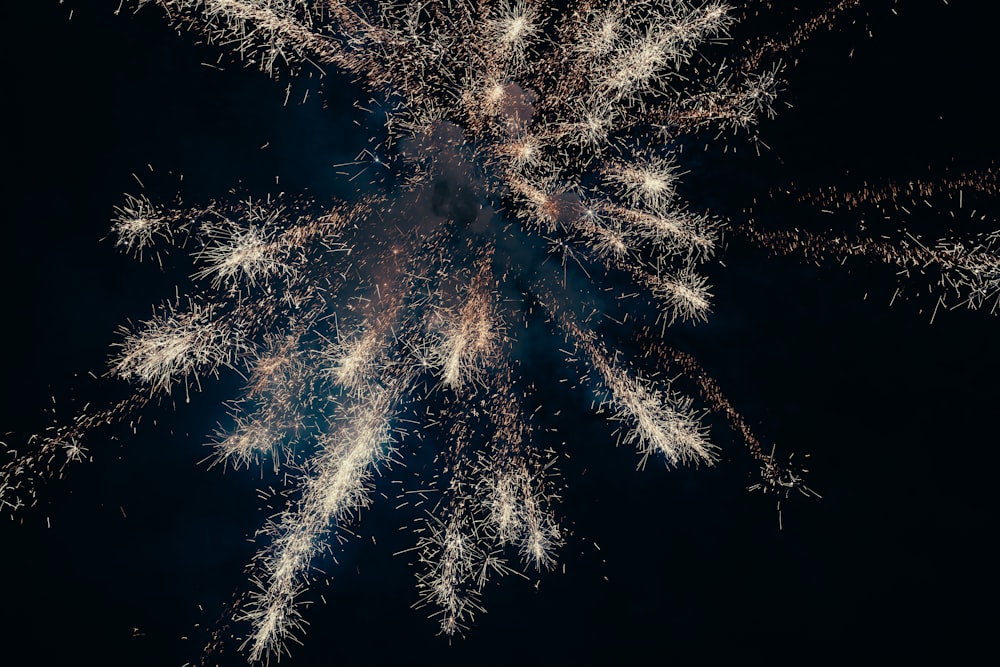 a bunch of fireworks are lit up in the night sky