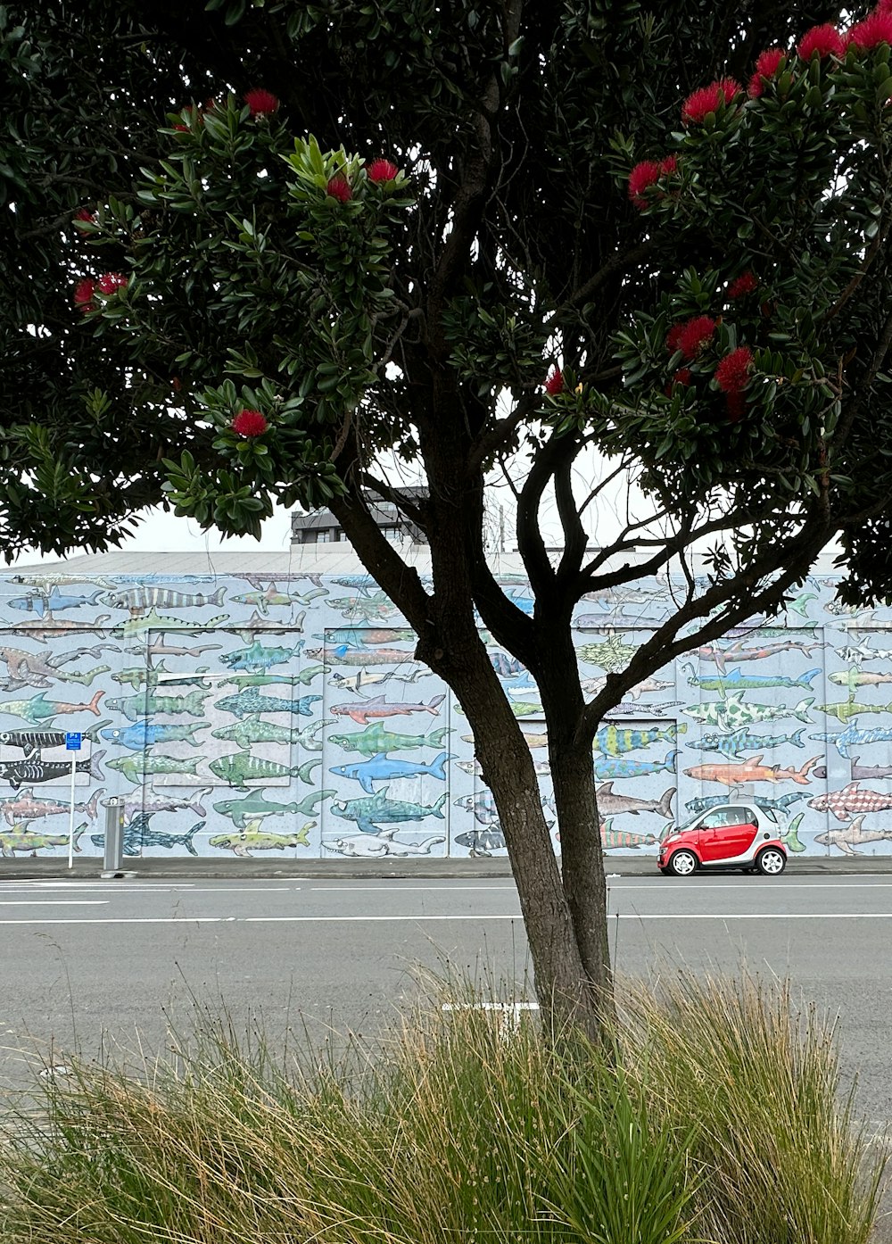 a red car driving down a street next to a tree