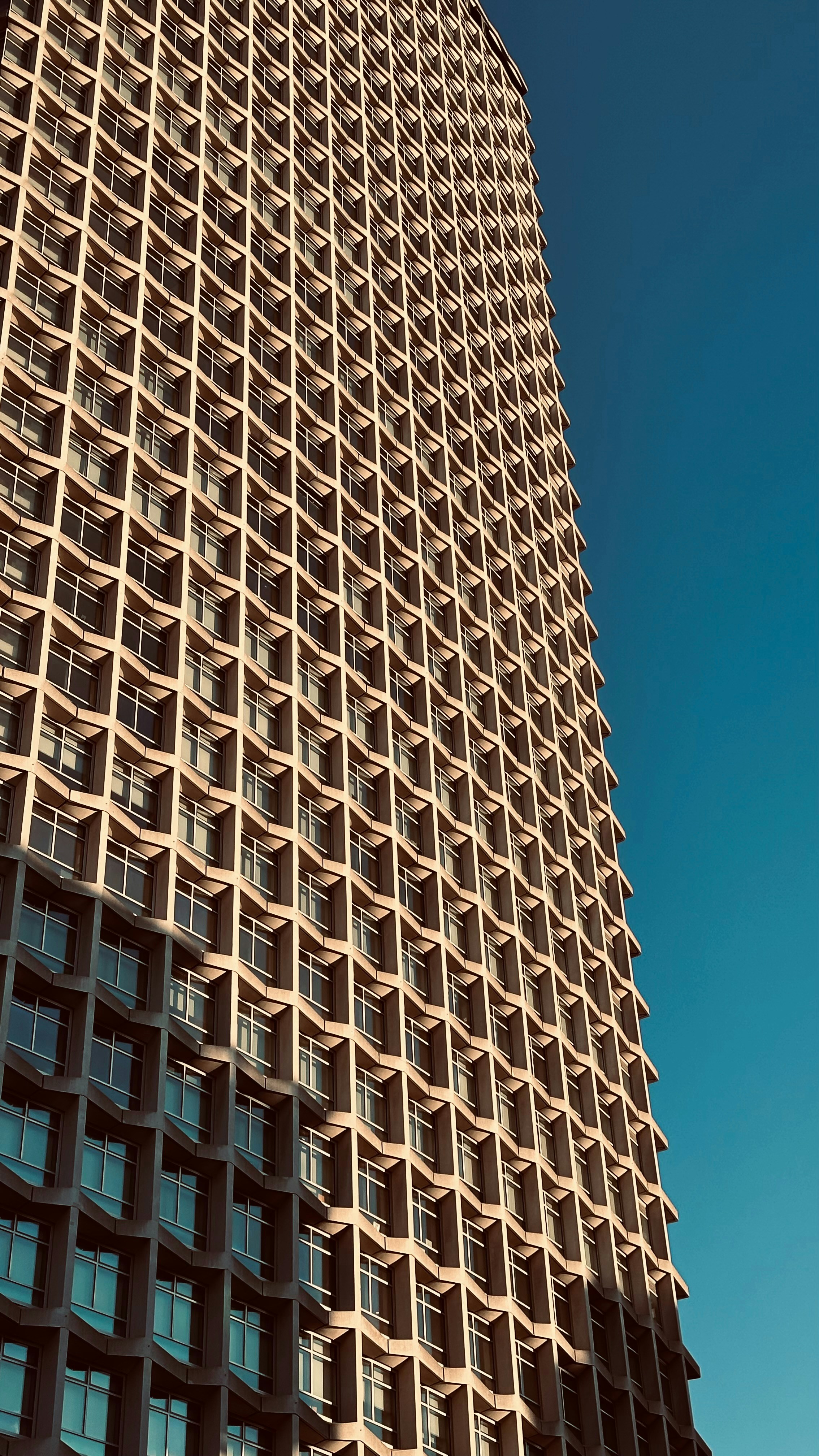 Photo by saidyigitcamlica