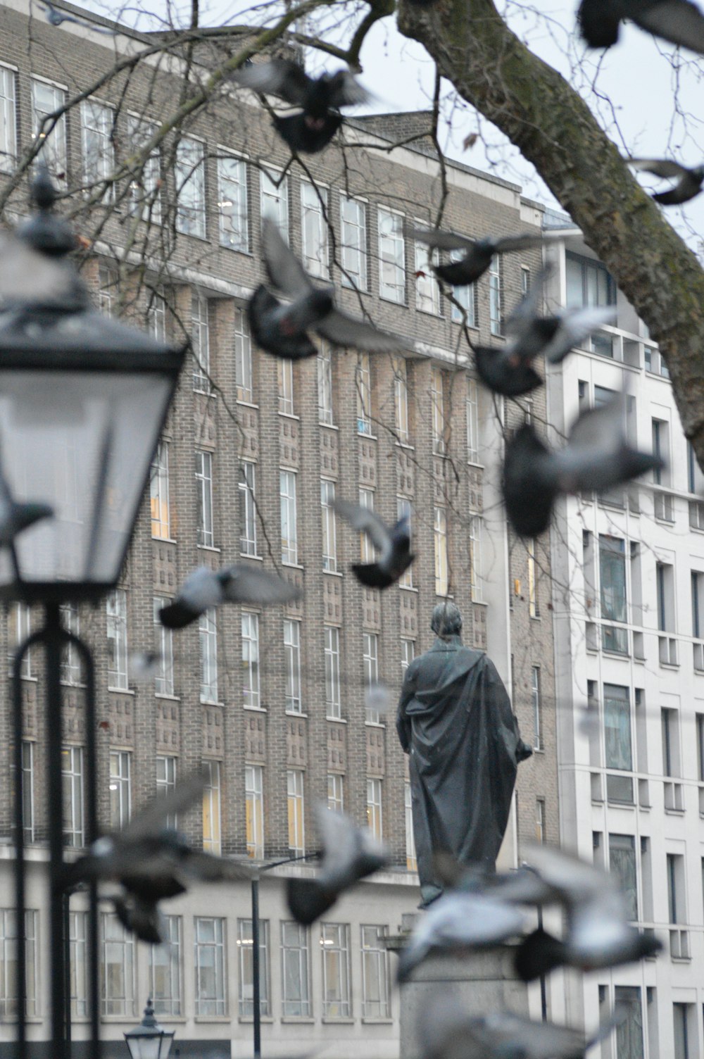 a statue of a man surrounded by birds in front of a building