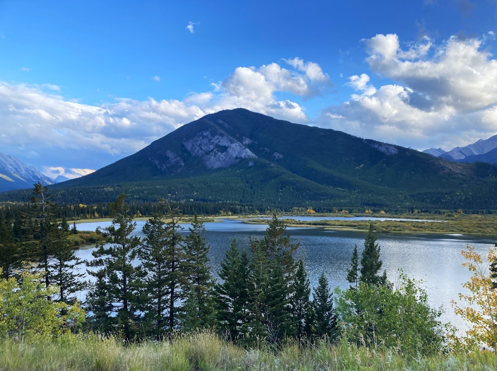 um lago cercado por árvores e montanhas sob um céu nublado