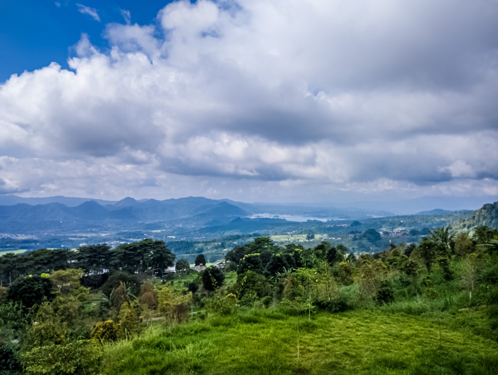 a lush green field with mountains in the distance