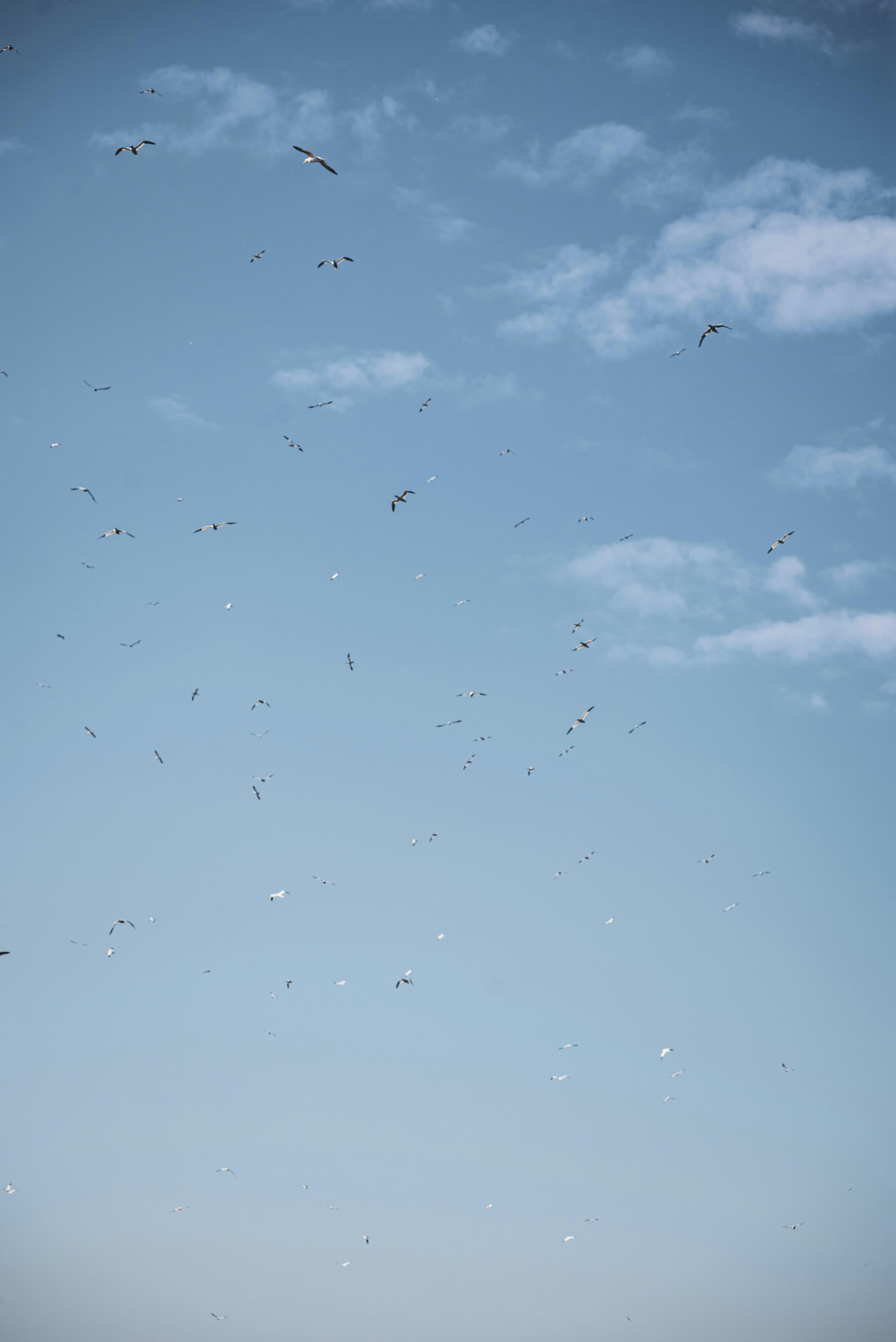 Photo by miekelauren