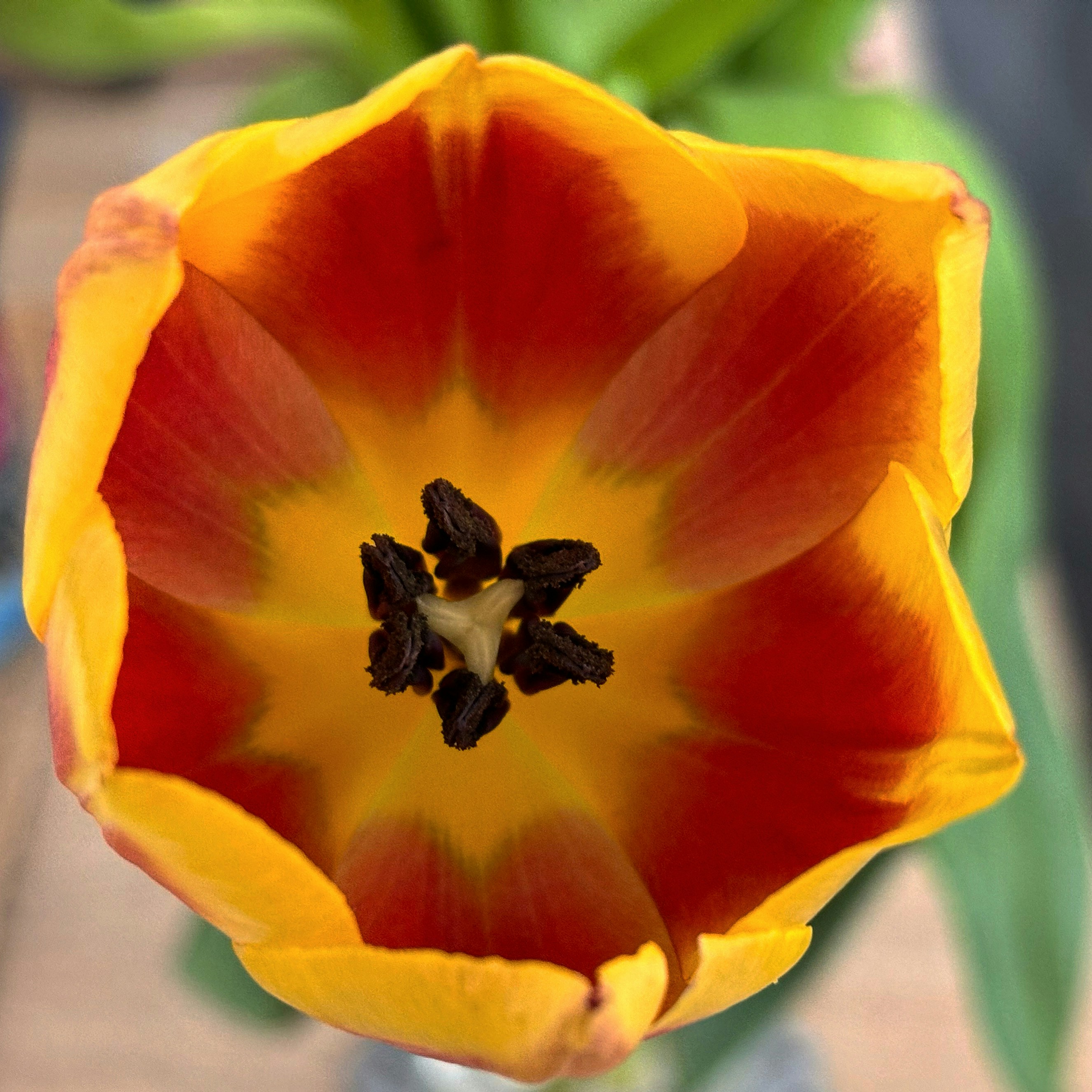 Photo by natureonphotos