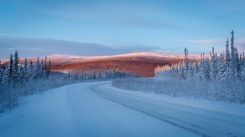 Camino nevado en bosque de Alaska