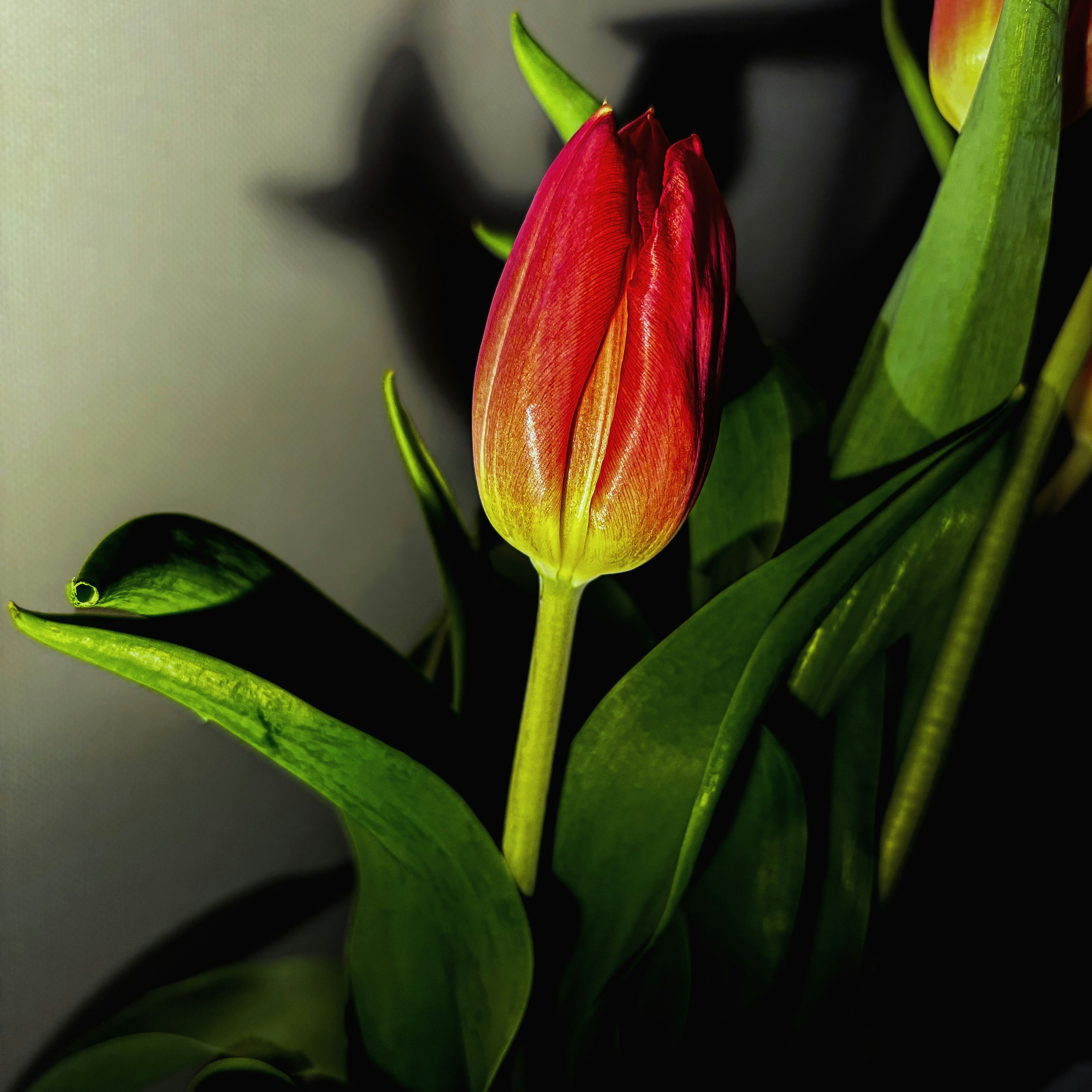 Photo by natureonphotos