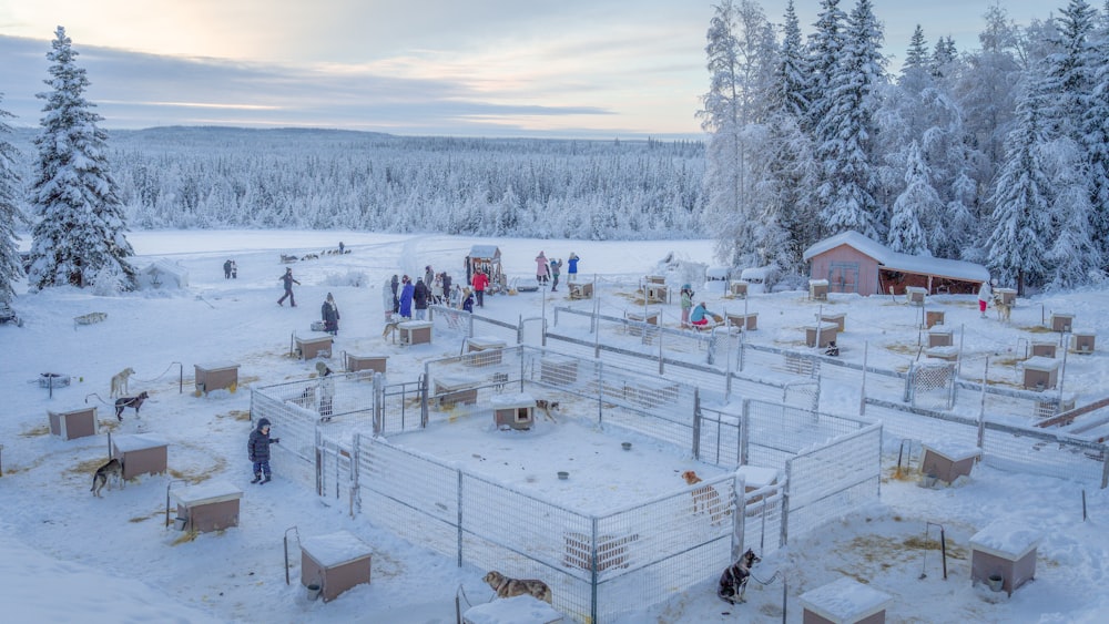 a group of people standing around in the snow