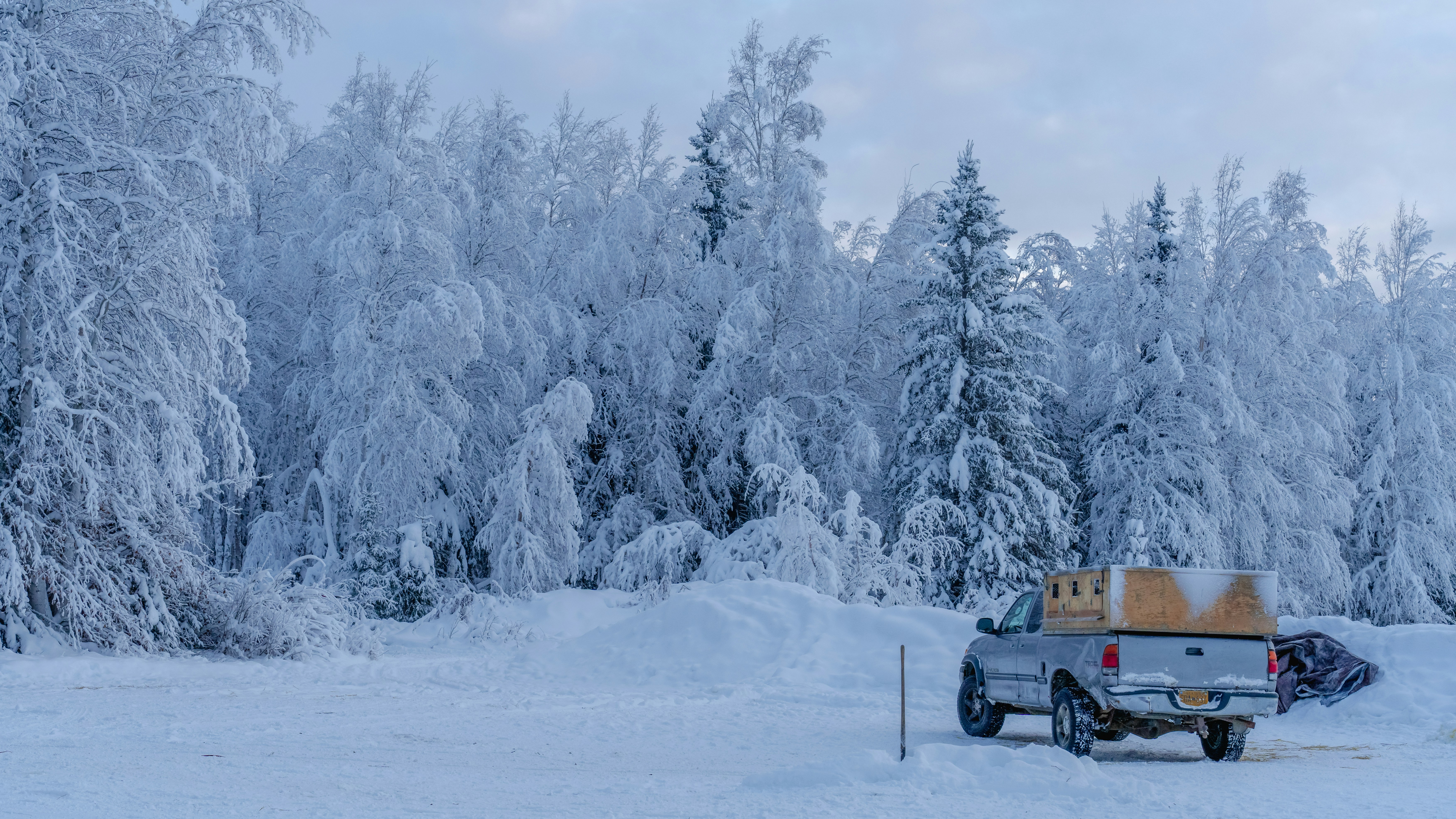 a truck is parked in the middle of a snowy field, 