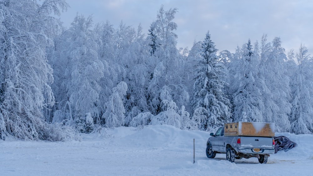 Ein Lastwagen parkt mitten auf einem verschneiten Feld