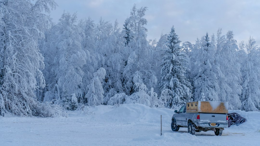 a truck is parked in the middle of a snowy field,