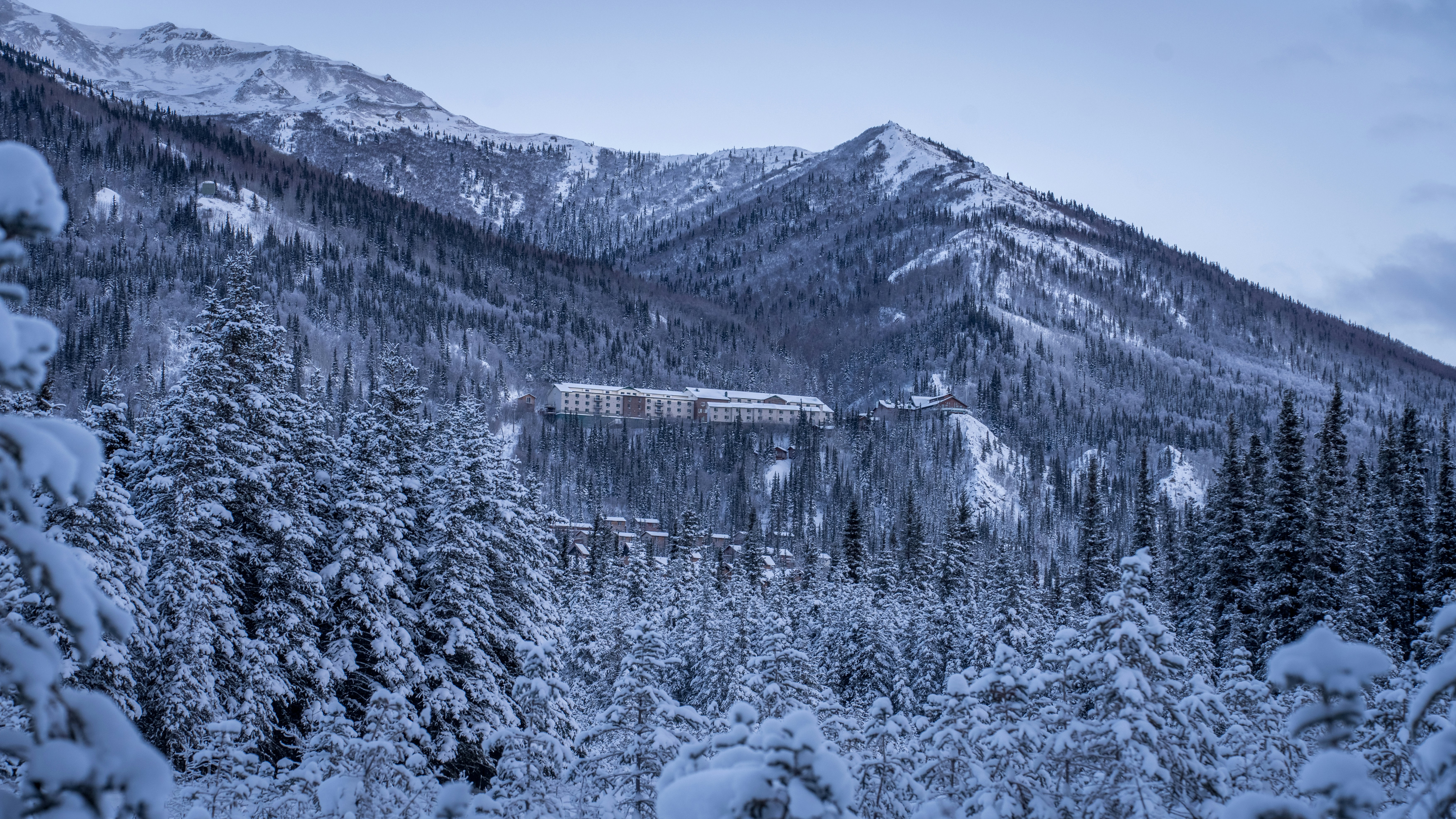 a train traveling through a snow covered forest