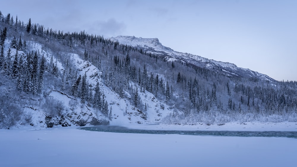 a mountain covered in snow next to a body of water