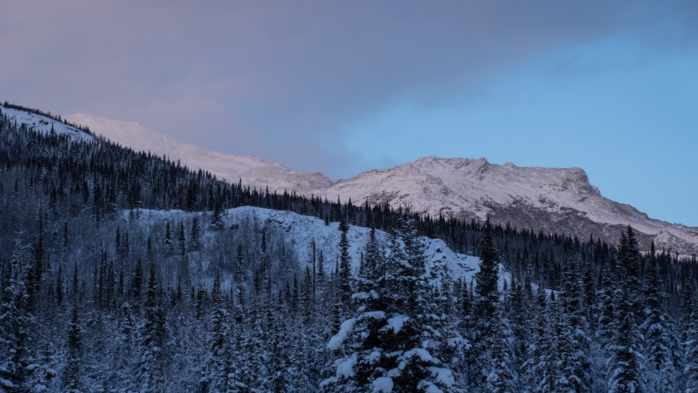 a mountain covered in snow and trees under a cloudy sky