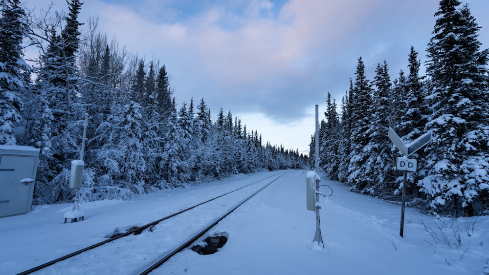 a train track in the middle of a snowy forest