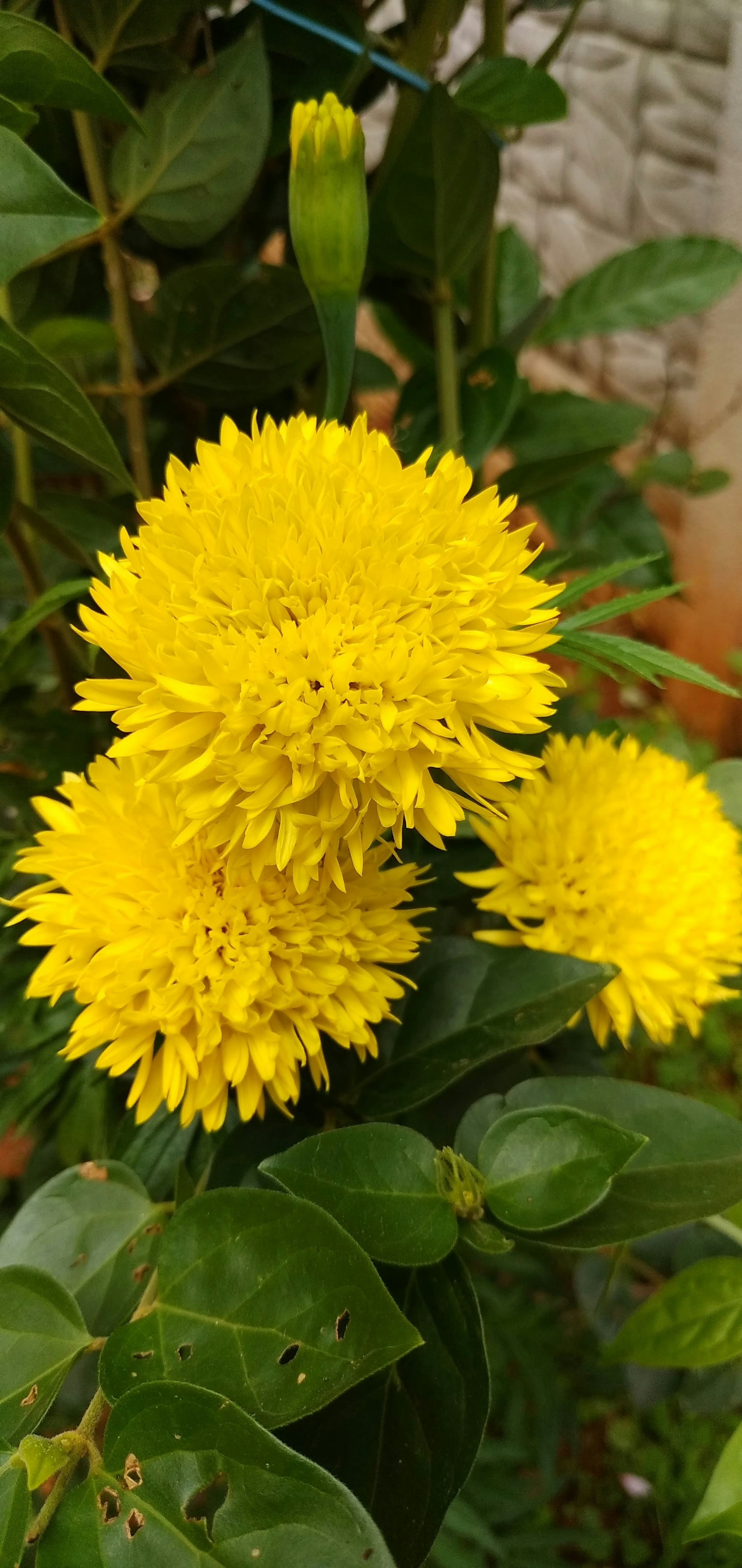 Photo by ashmithnraj