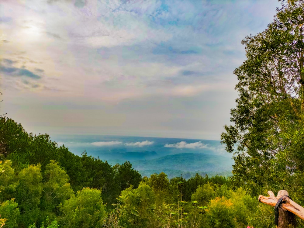 a view of the mountains from a wooded area