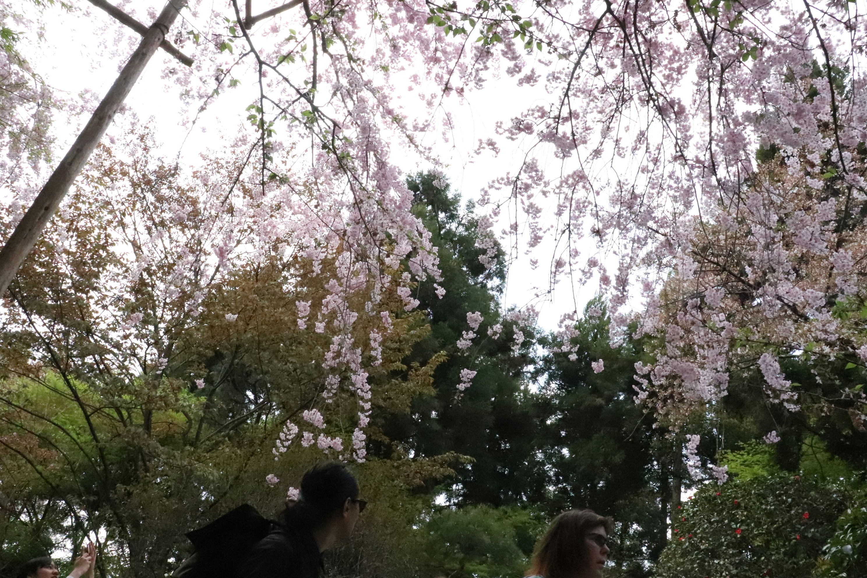 Photo by saitousai