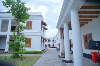 a building with columns and a tree in front of it