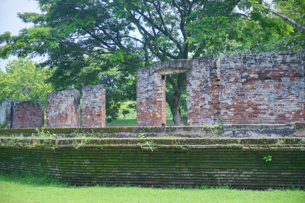 eine alte Backsteinmauer mit einem Baum im Hintergrund