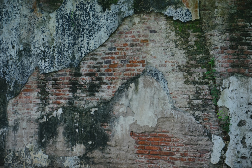 an old brick wall with moss growing on it