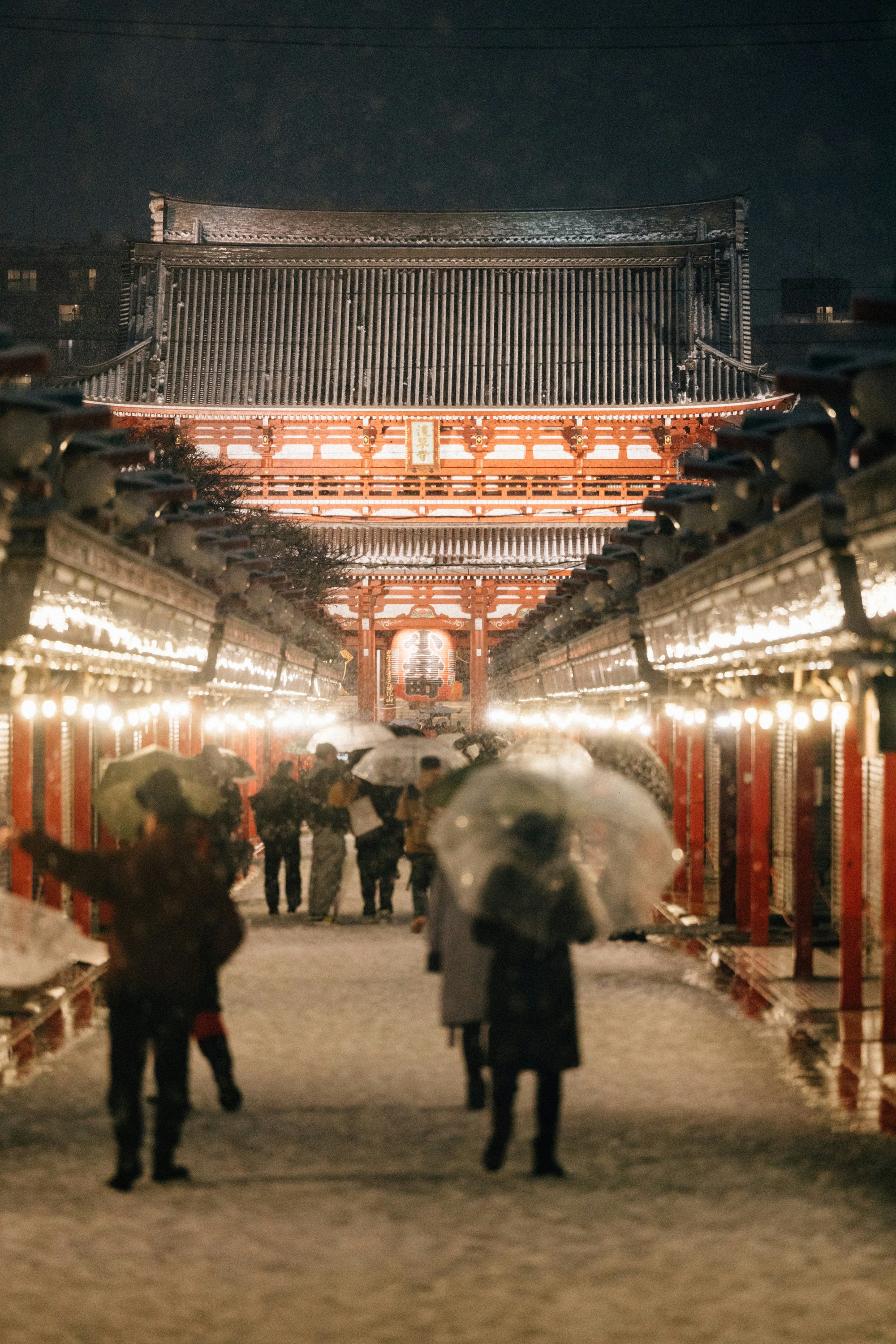 Photo by tsuyoshikozu