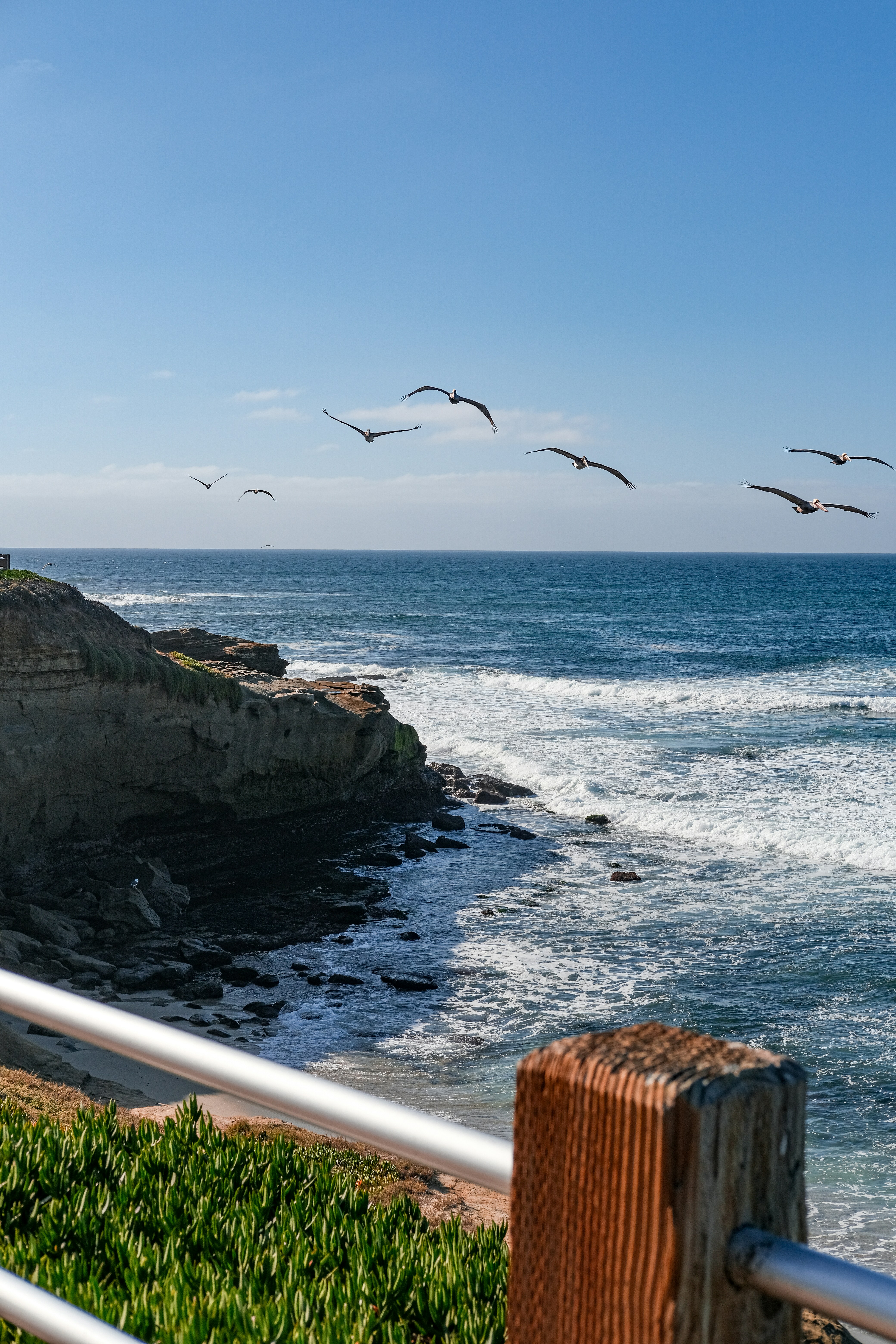 a flock of birds flying over the ocean