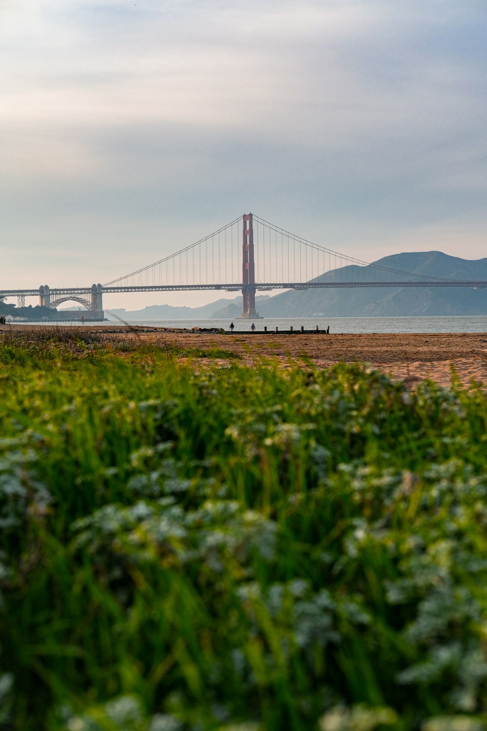 a view of the golden gate bridge from the beach