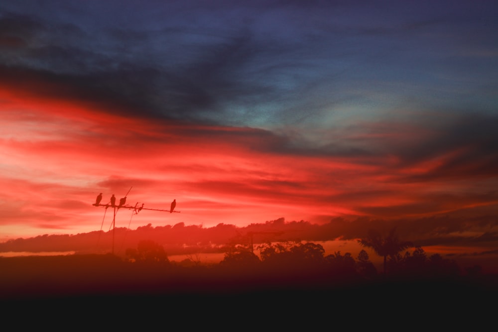 a red and blue sky with some clouds