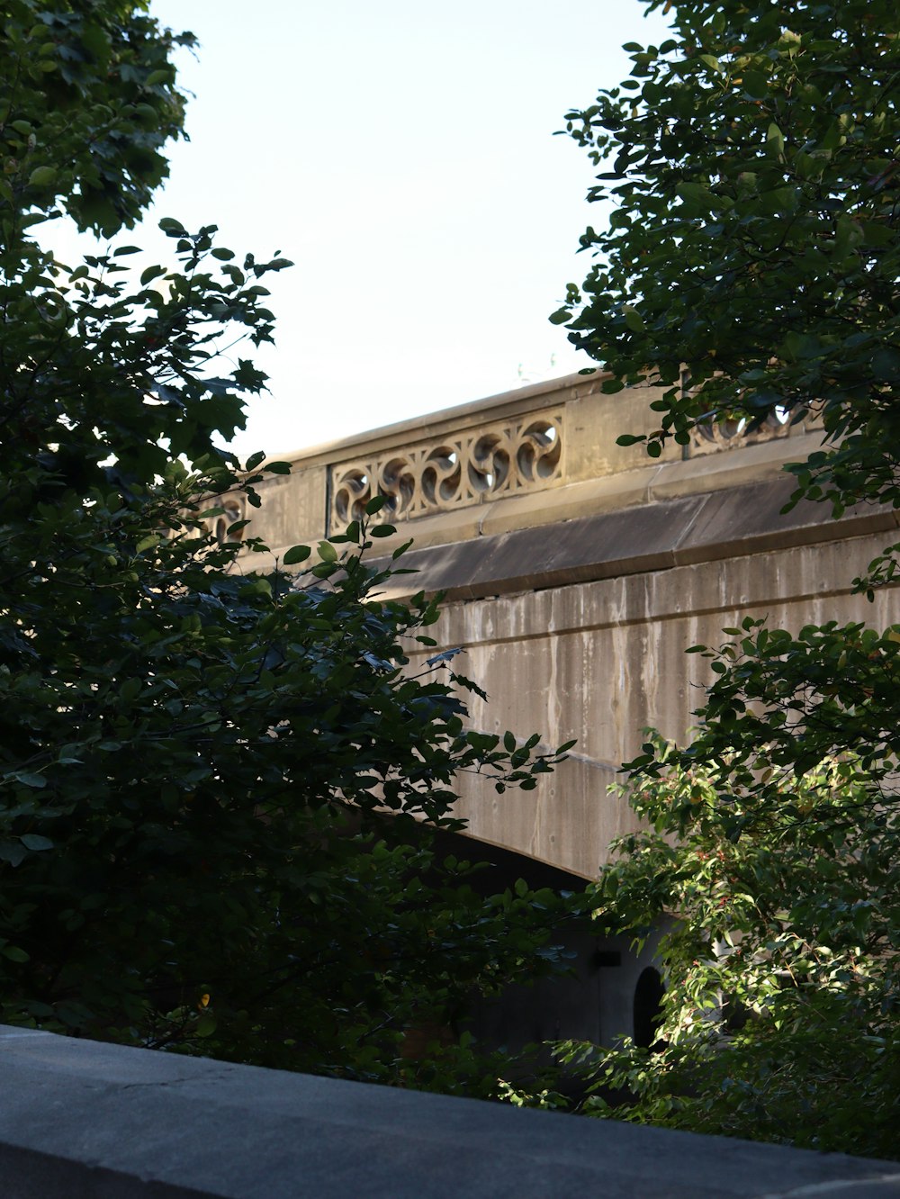 a bridge over a body of water surrounded by trees