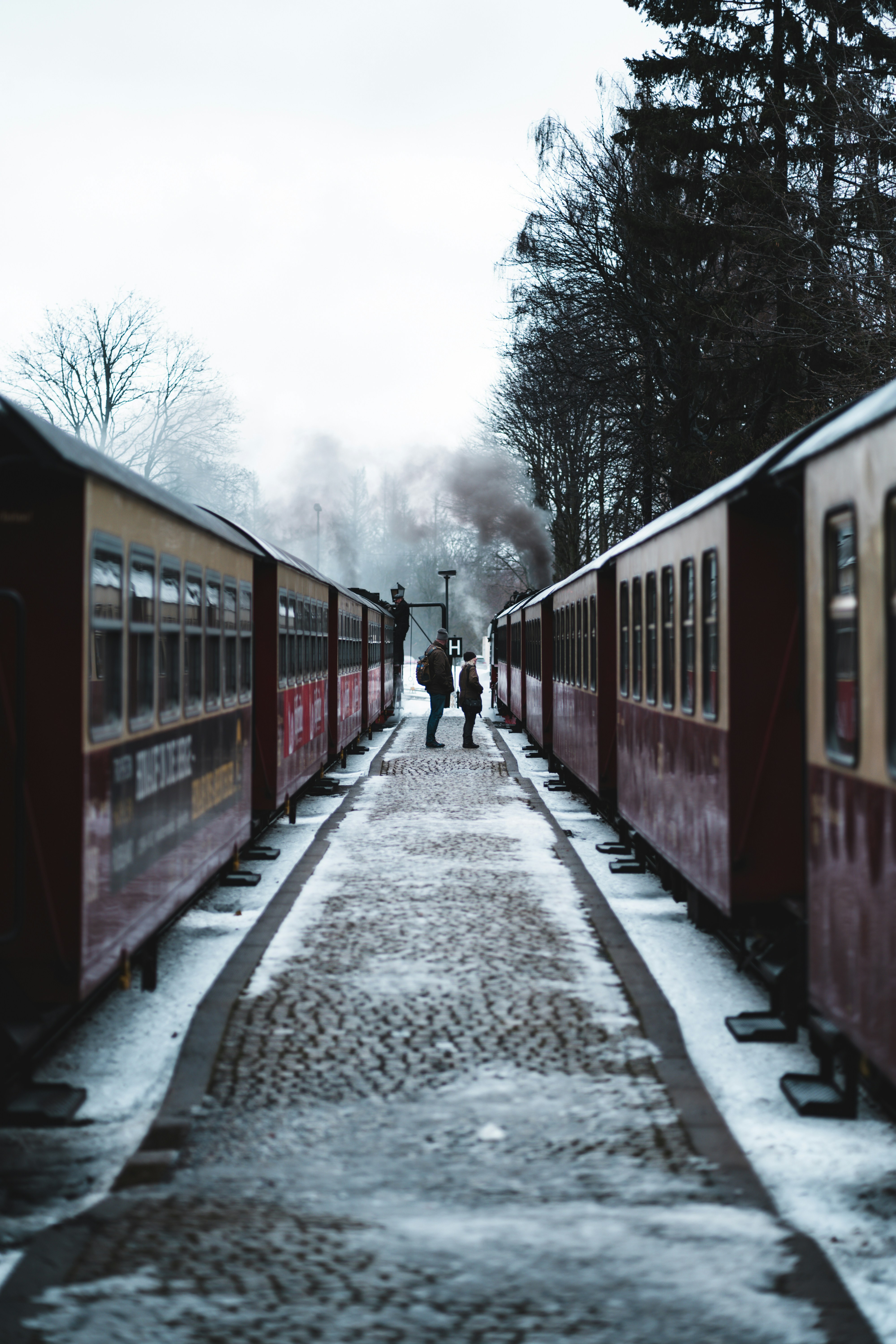 Photo by aravind_balabhaskar