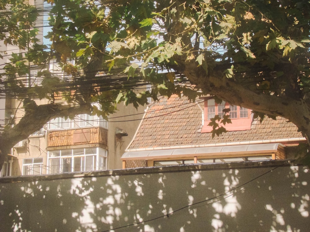 a building is seen through the leaves of a tree