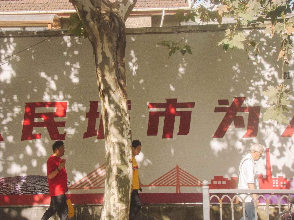 a group of people walking down a sidewalk next to a tree