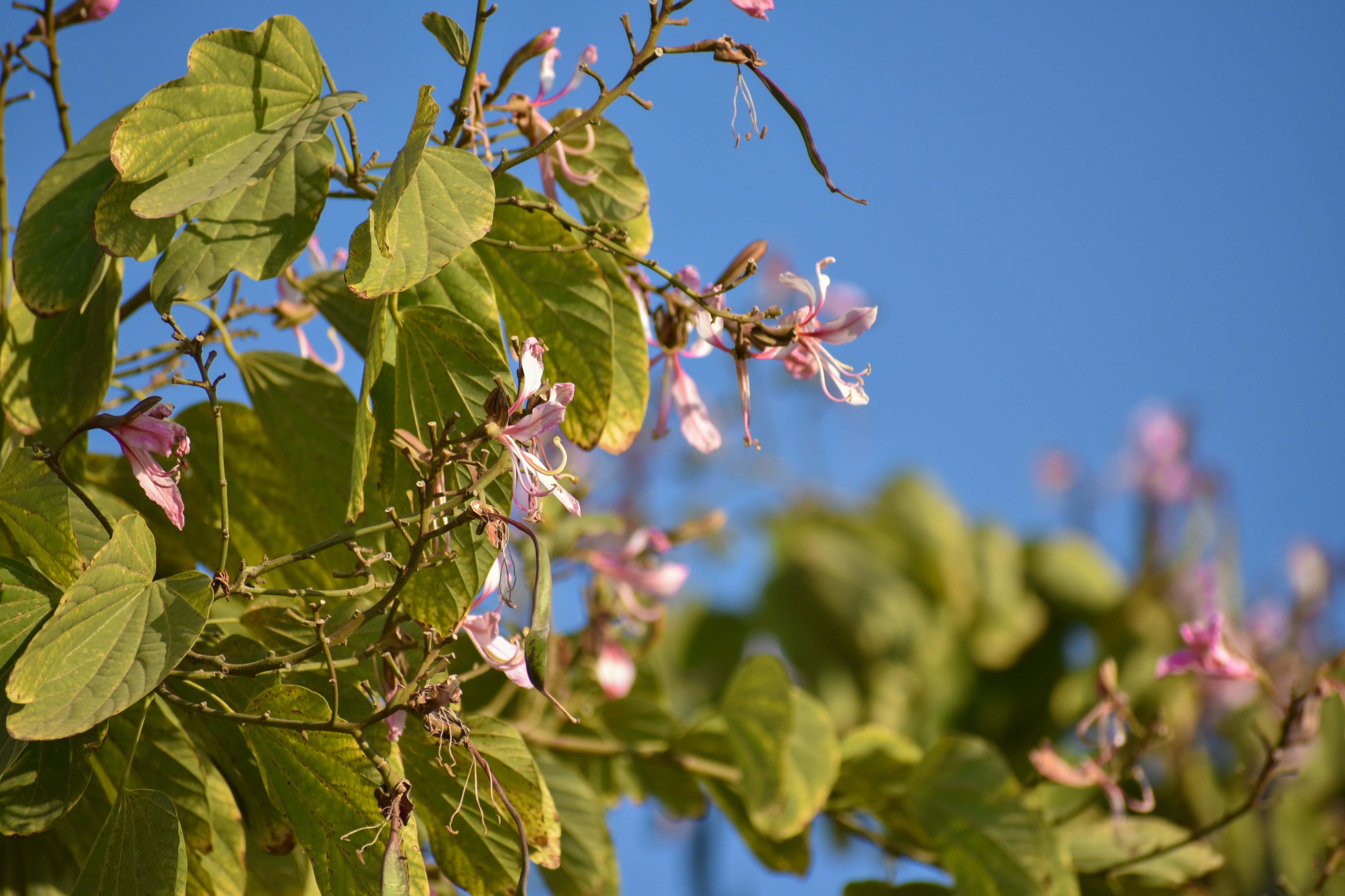 Photo by neelakshi_singh_