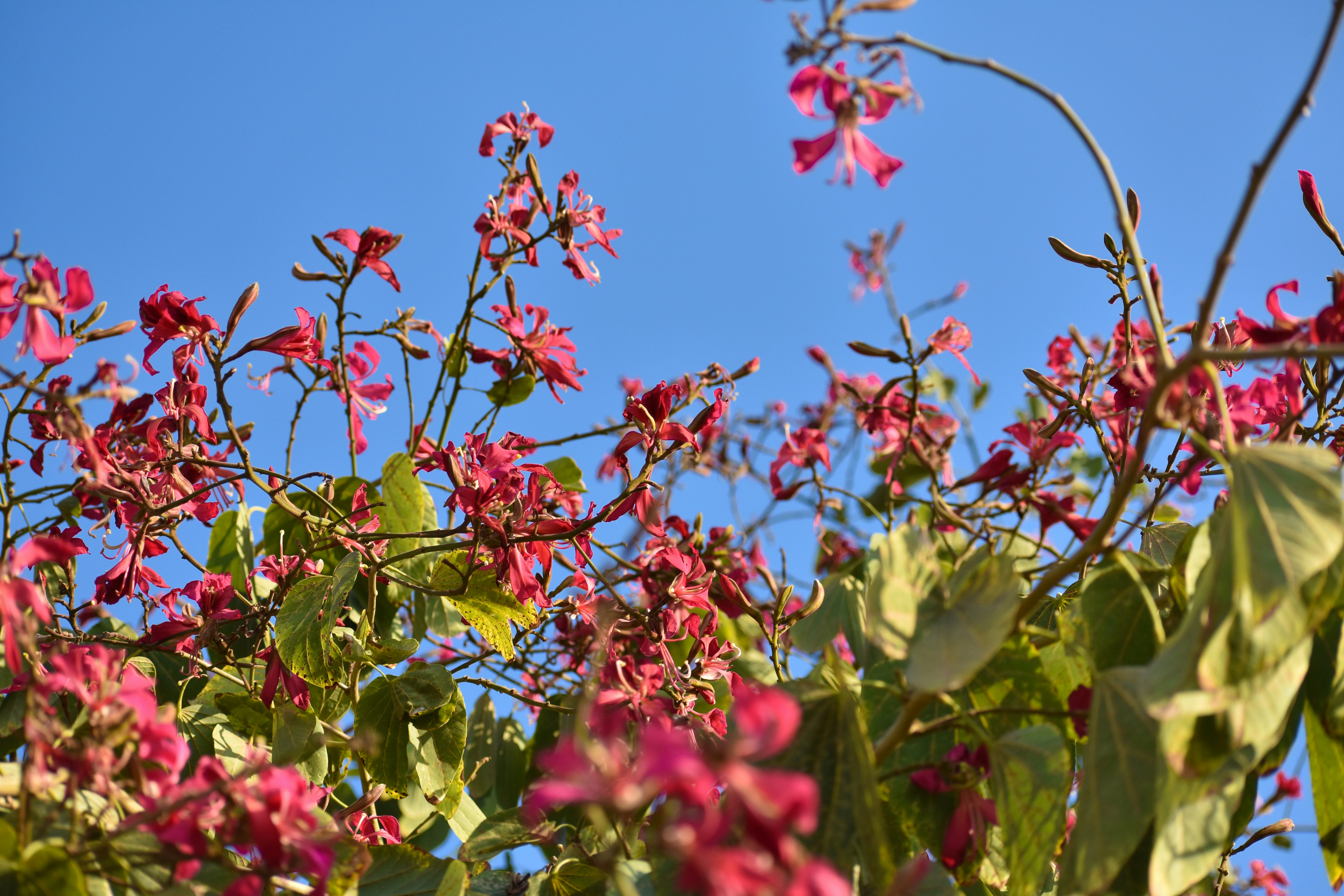 Photo by neelakshi_singh_