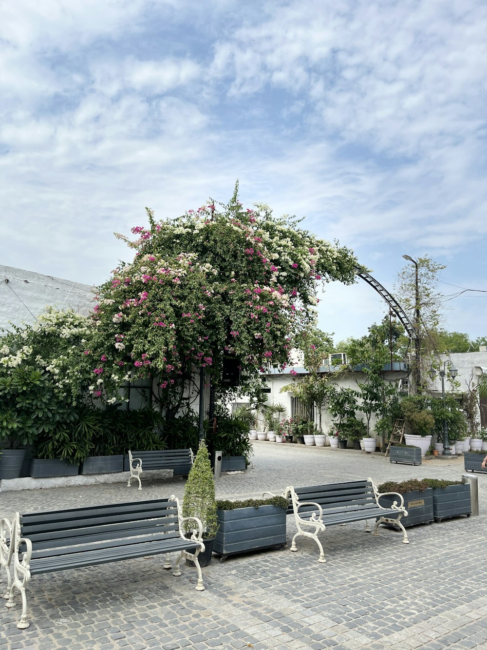 a row of benches sitting next to each other on a sidewalk