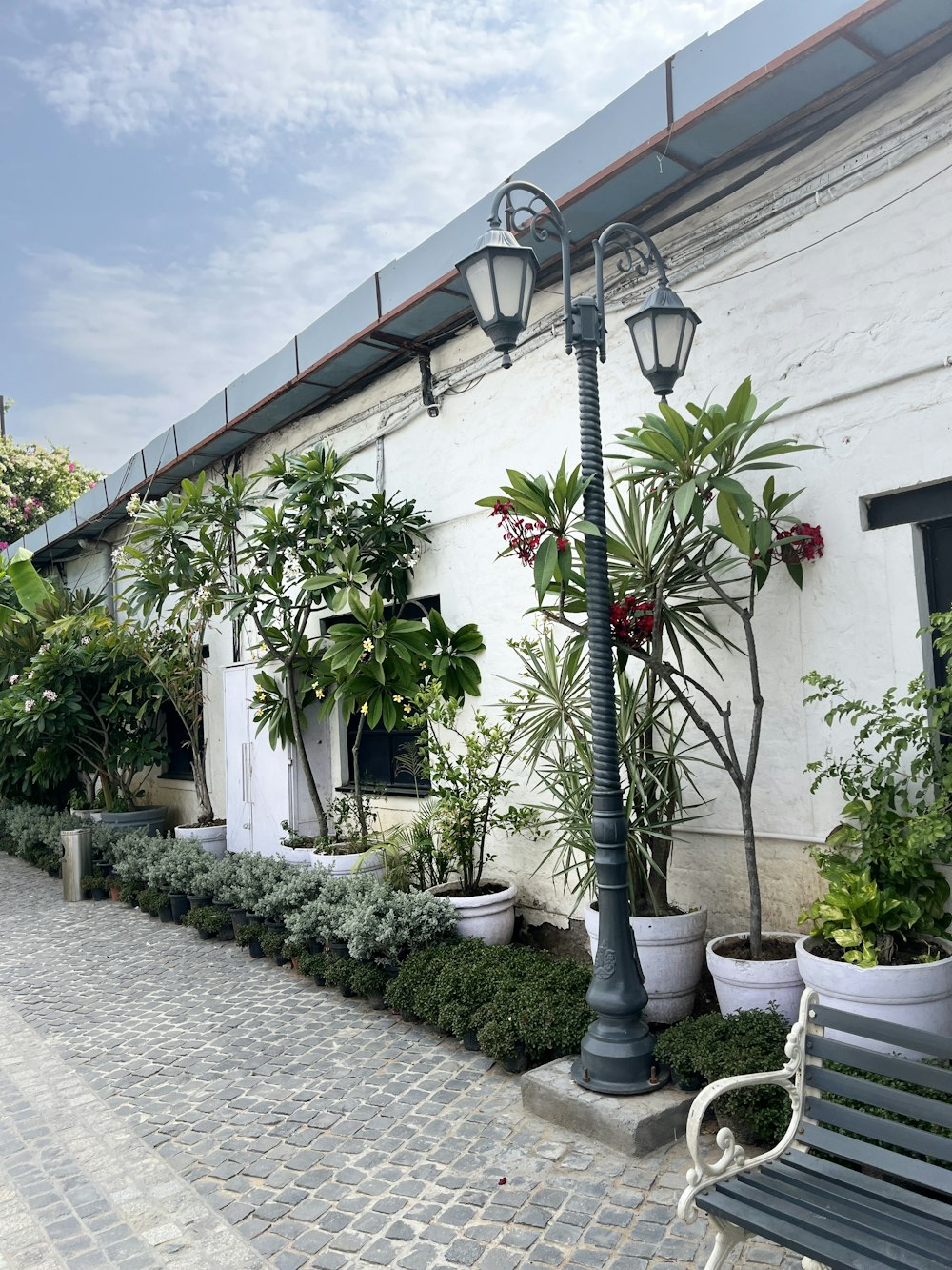 a row of potted plants next to a white building