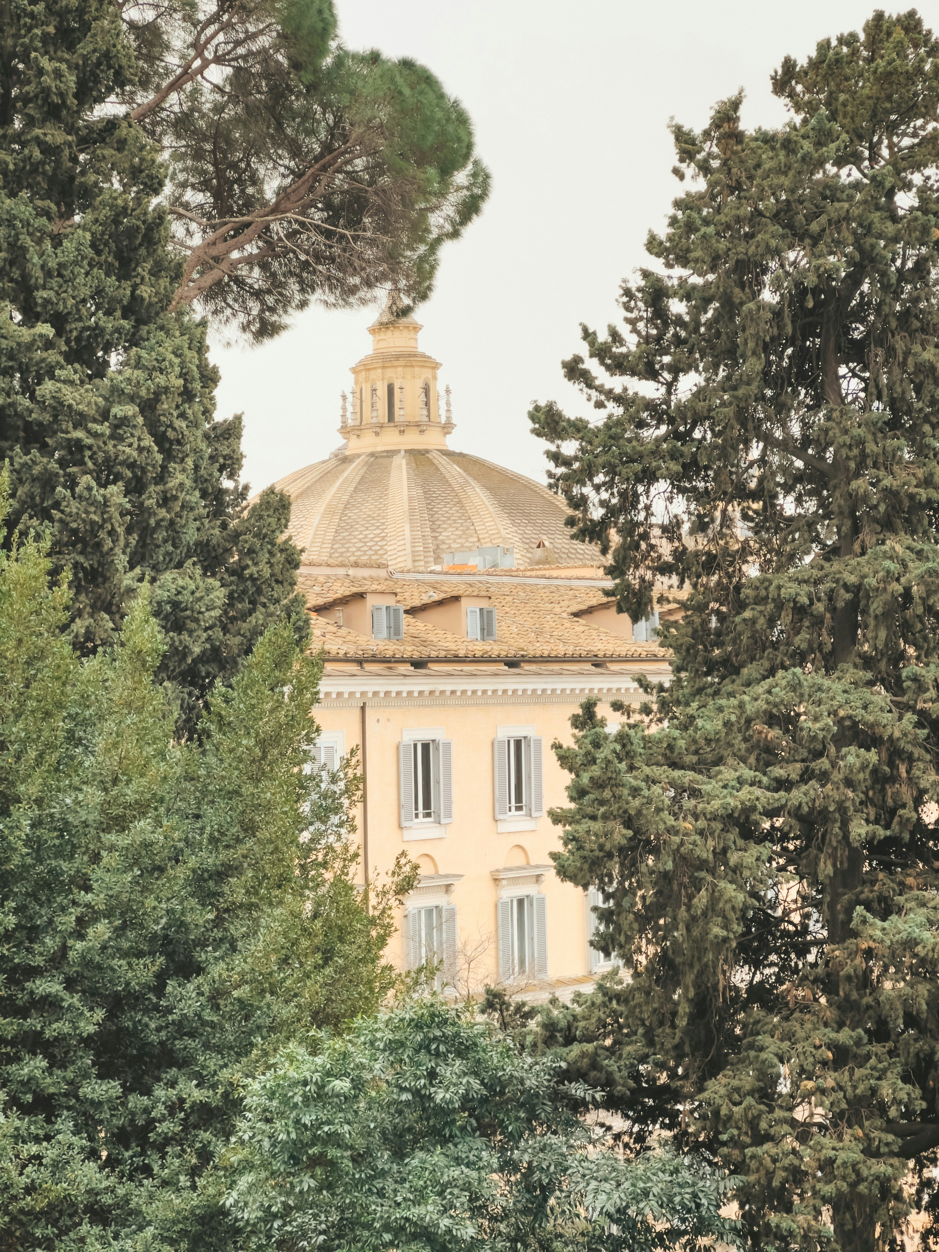 Photo by antonio_18_amado