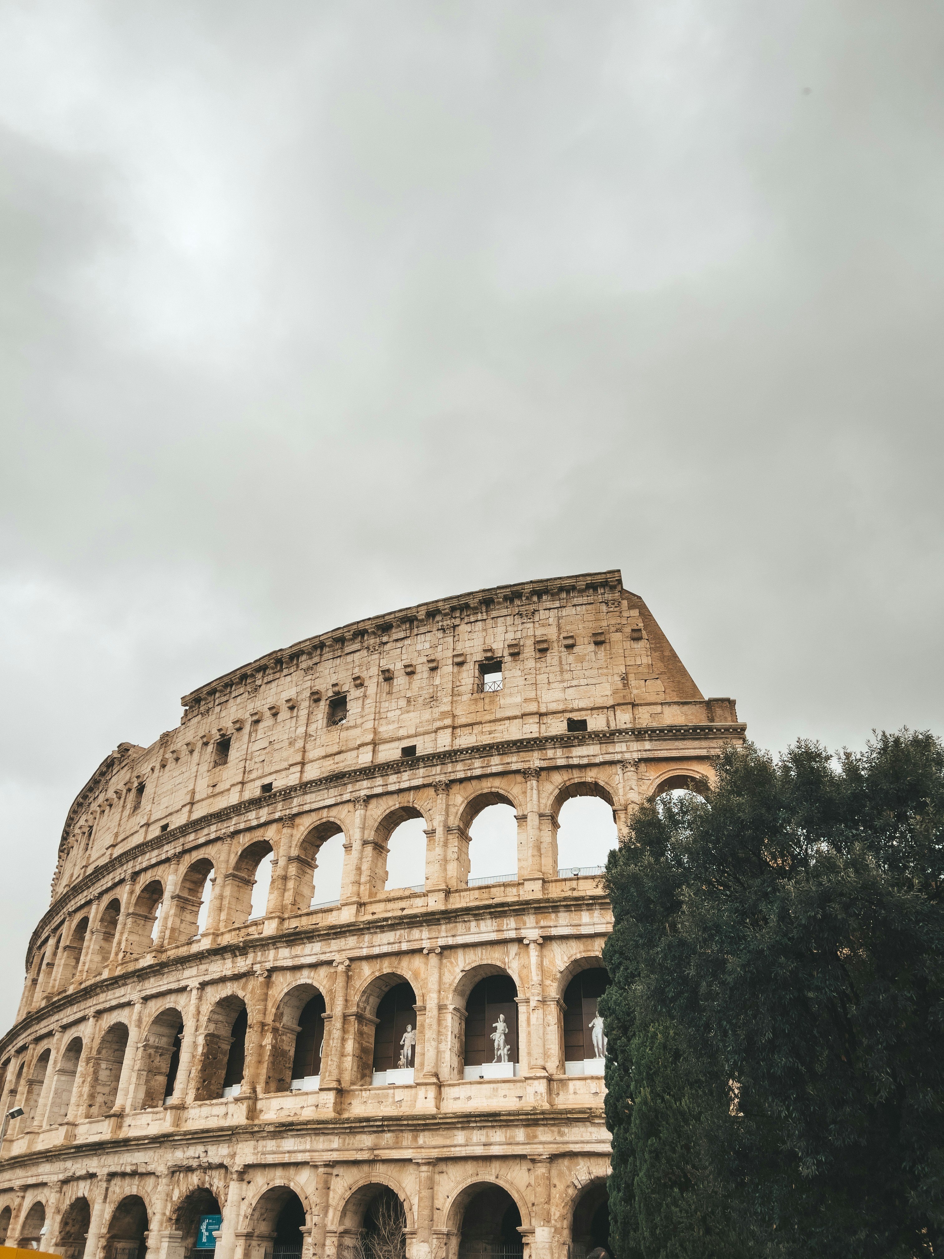 Pro soccer jerseys 24-25