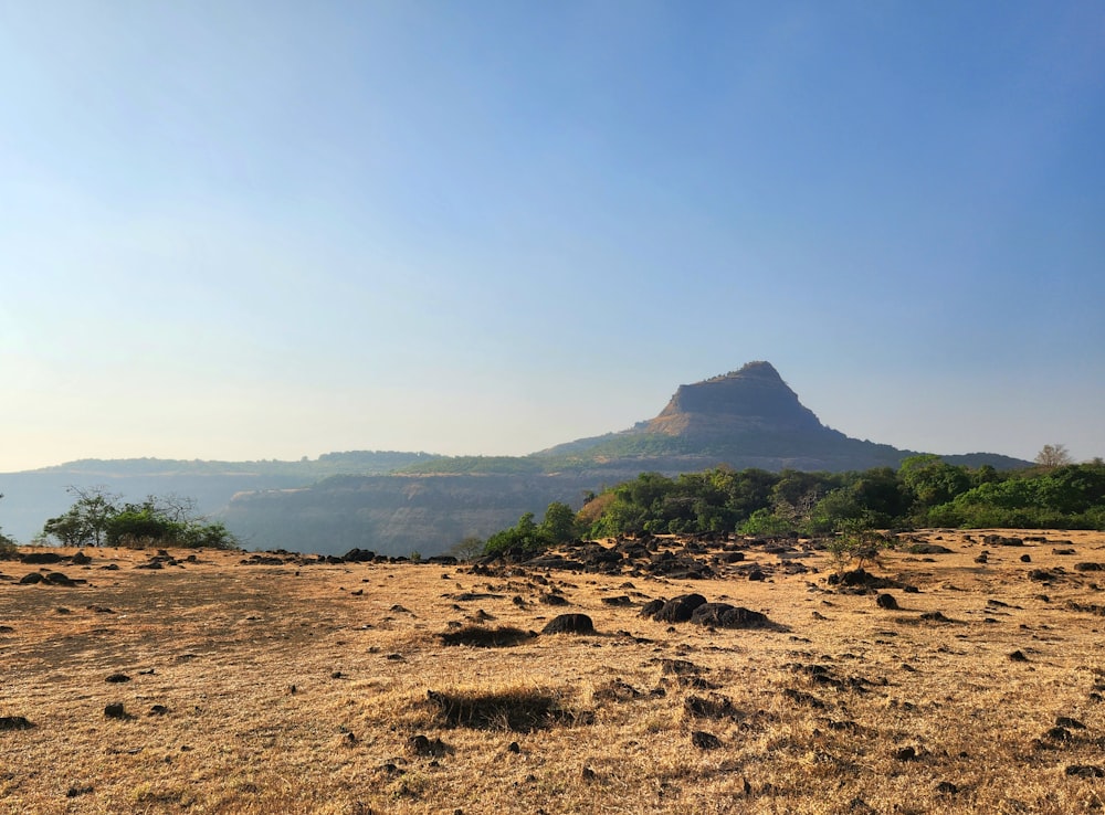 a view of a mountain from a dry grass field