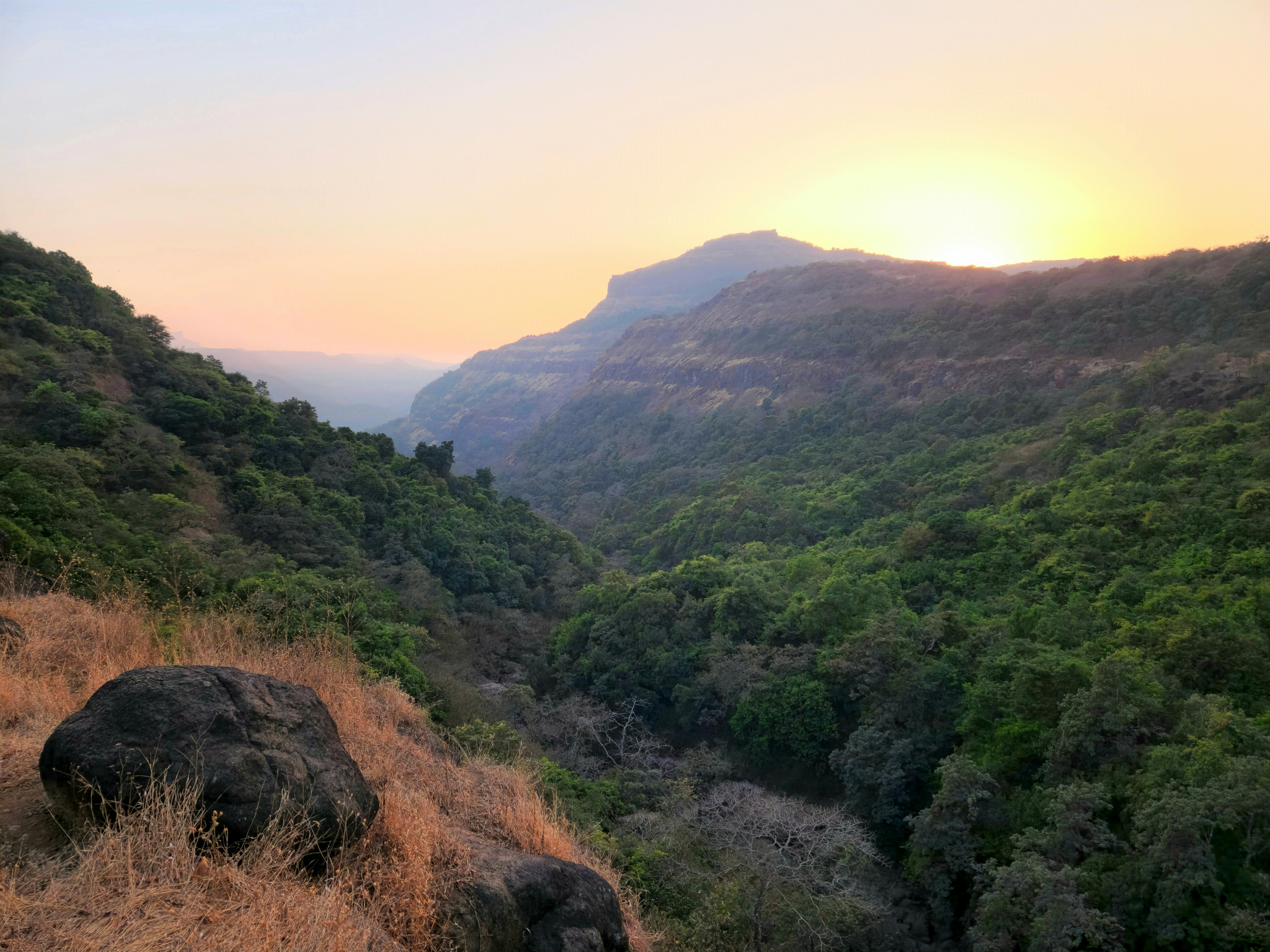 Photo by zoshuacolah