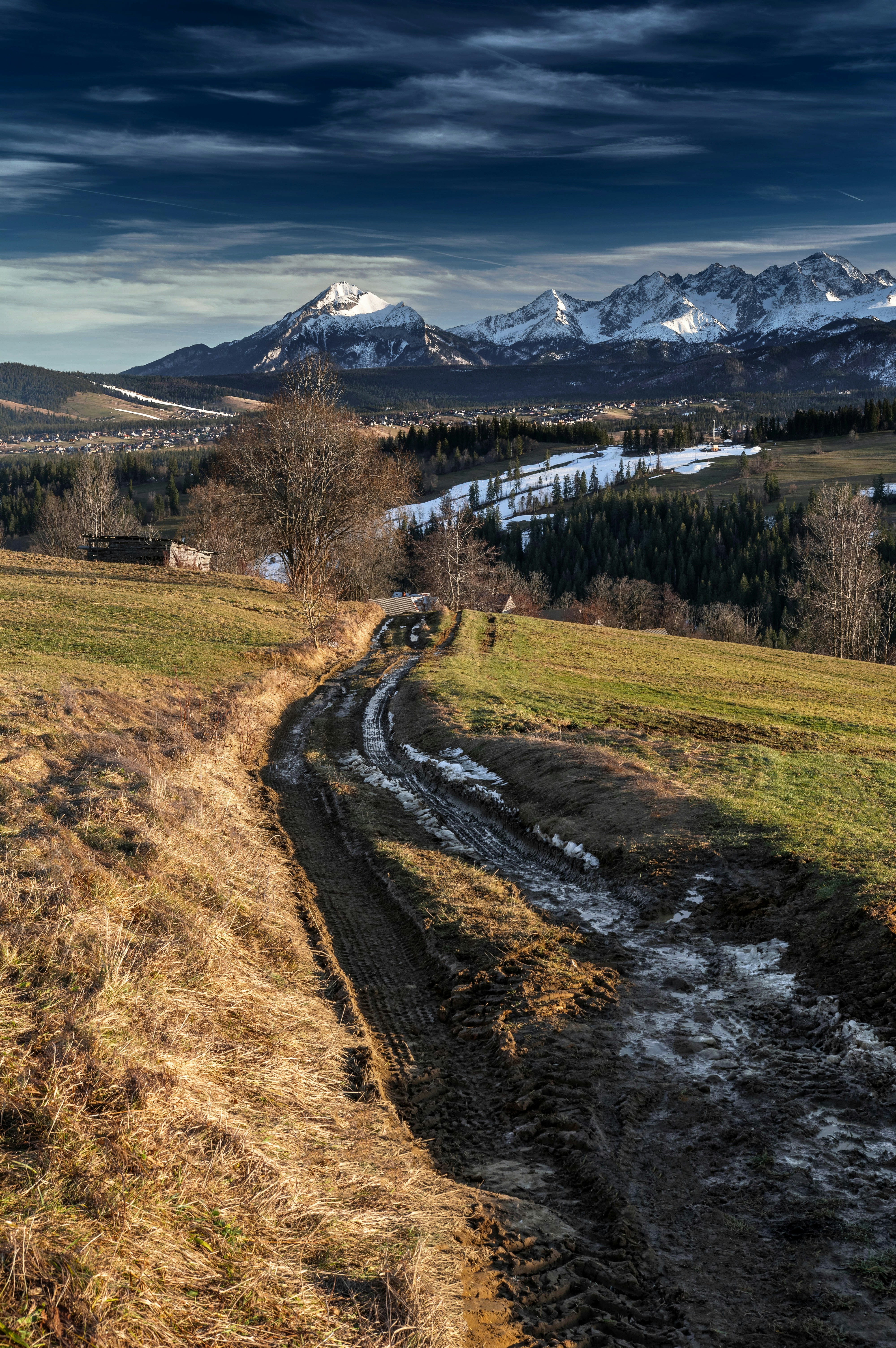 a dirt road in a field with mountains in the background