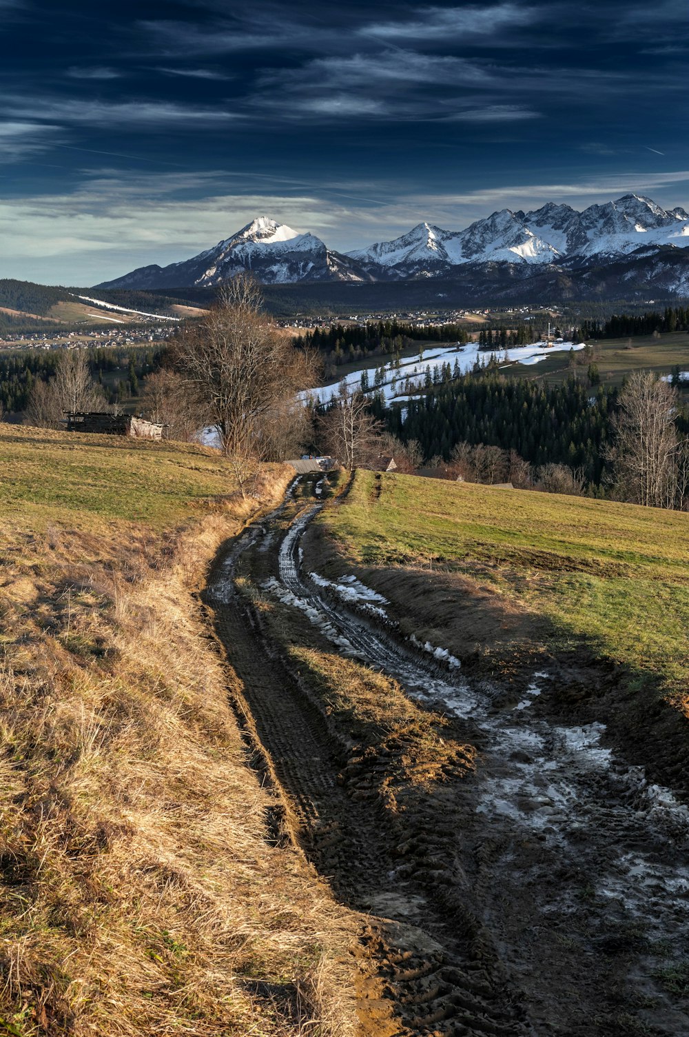 a dirt road in a field with mountains in the background