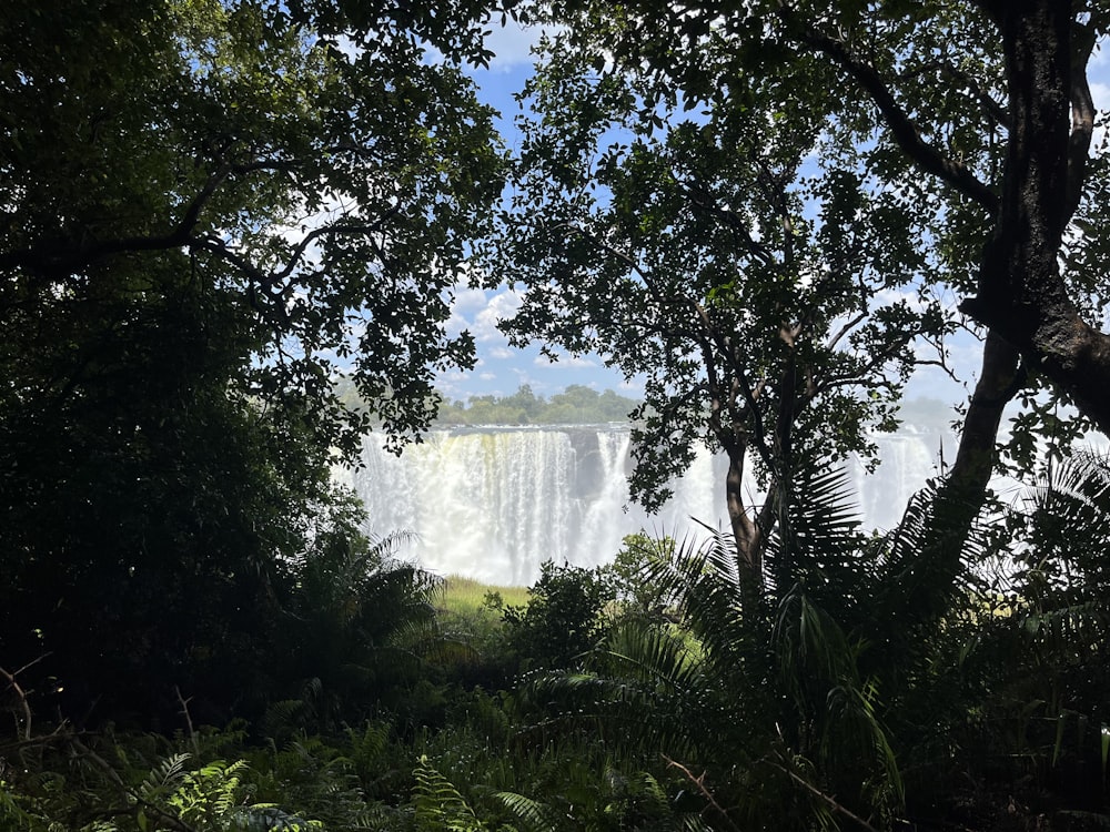 a view of a waterfall through the trees