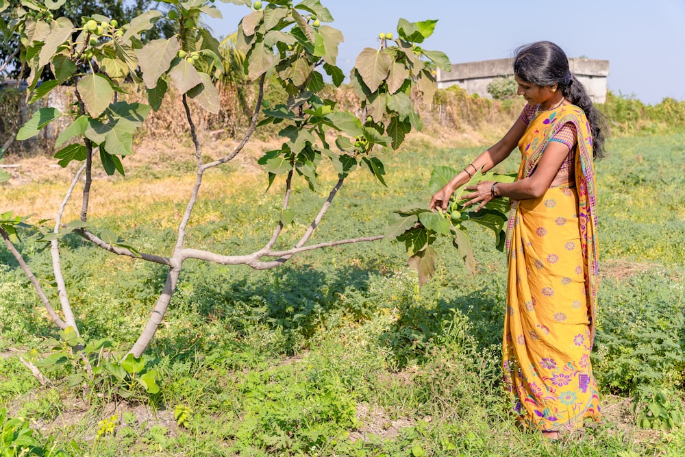 a woman in a yellow sari picking leaves off a tree