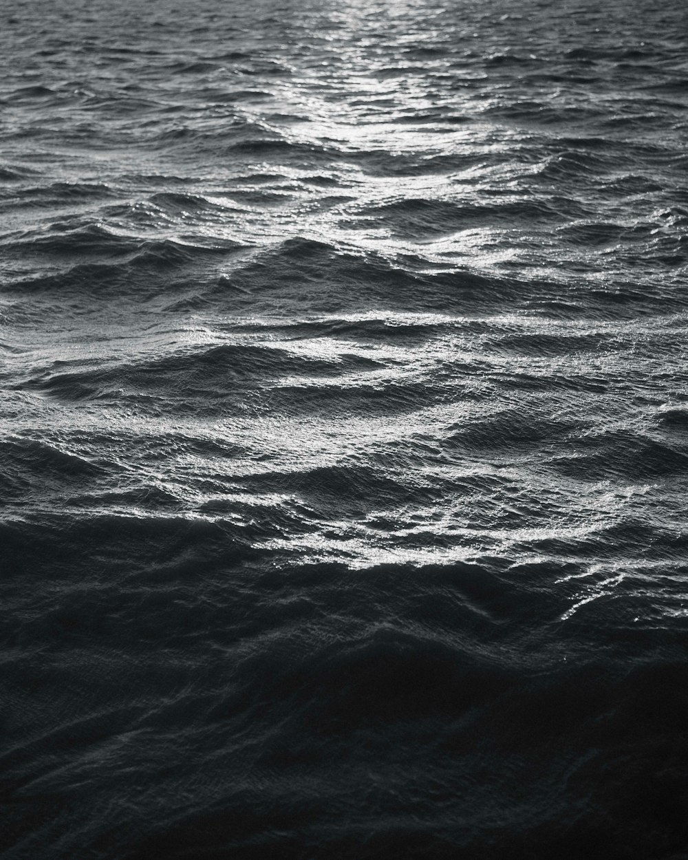 a black and white photo of a body of water