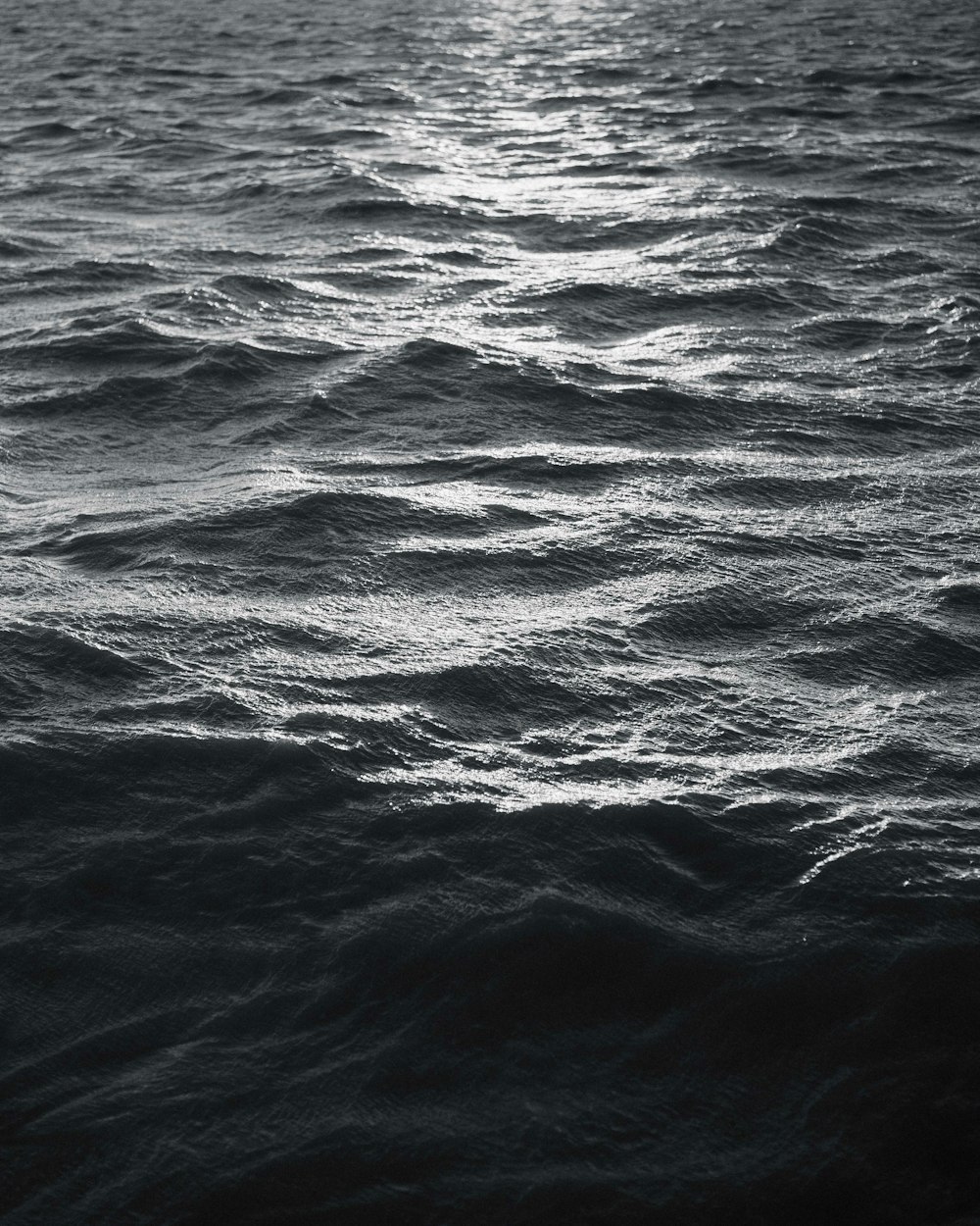 水域の白黒写真