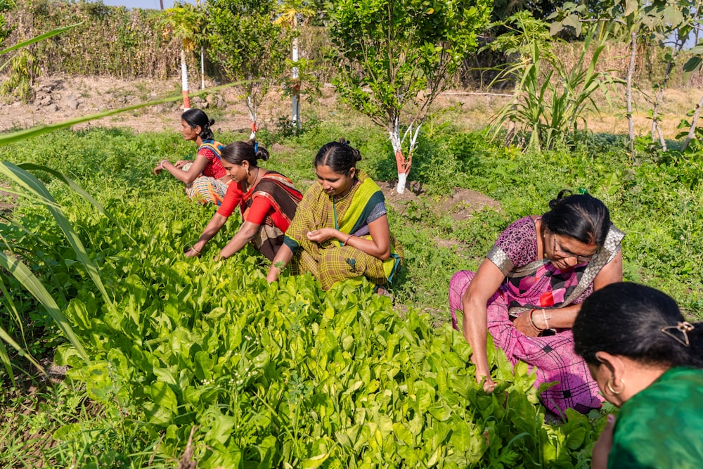 a group of women sitting on top of a lush green field