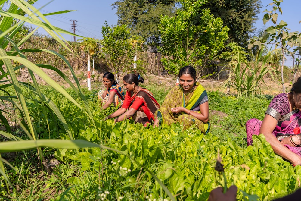 a group of women working in a garden